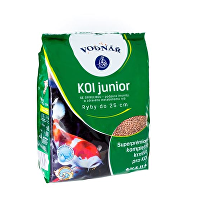 KOI Junior 0